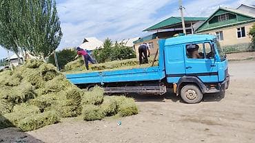 муровей самосвал: Грузовик, Mercedes-Benz, Дубль, 7 т, Б/у — 6