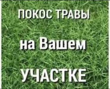 Уборка территории, Стрижка газона — 1