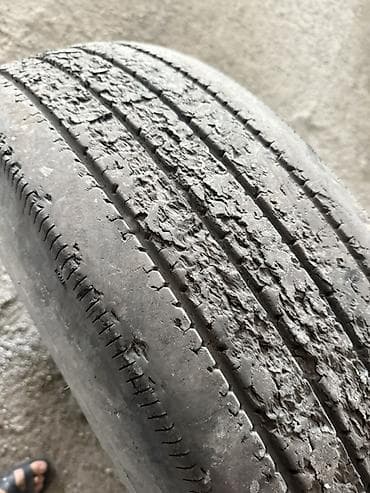 howo tx: 295/80/22.5 — 2