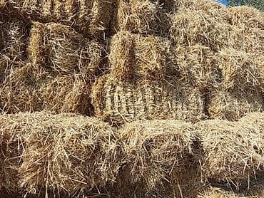 Буудай саман 
солома пшеничная 
500+ штук 
с поля 45
