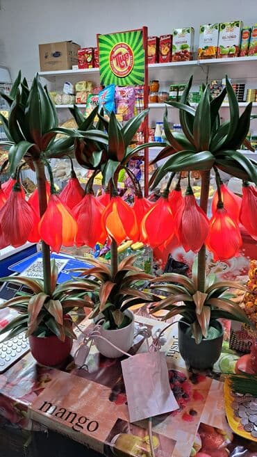 купить люцерну семена: Лилиялар — 6