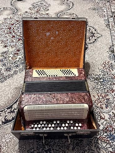 Комузы: Баян Weltmeister (вероятно, серия “Weltmek”/“Weltmeister” — надпись на — 3