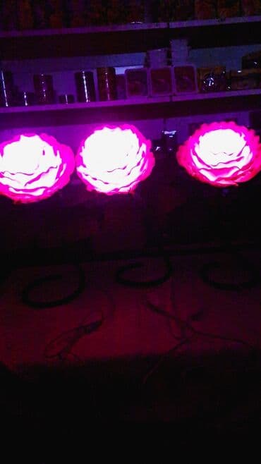 флаг кыргызстана 1898: Роза светильник 
Бийиктиги 55-60см
Баасы 1300с — 4