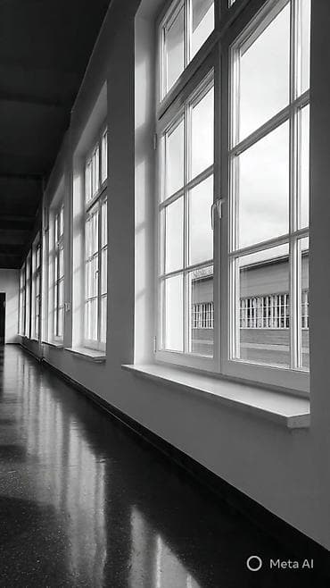 сетки для окон: Москитная сетка, Готовые — 1