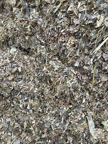 Кукурузный силос - Корм для КРС, коз, овец и других жвачных - Фракция