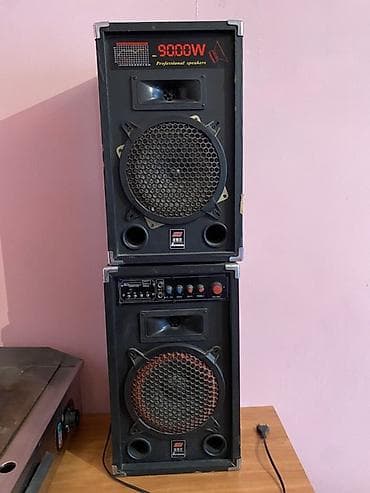 phone 11 pro: Пара напольных акустических систем SH (Professional Speakers) с — 1