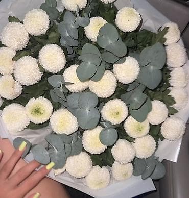 букеты цена: Букет состоит из белых хризантем сорта «Момоко» вчера ночью купили за — 4