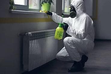 обувь женская 40: Дезинфекция, дезинсекция, | Муравьи, | Квартиры — 3