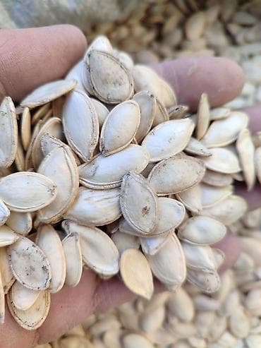 Тыквенные семечки (неочищенные, крупные) - Натуральные семена тыквы