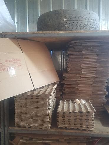 Лот: бумажные лотки для яиц и гофрокартон - Лотки для яиц (бумажная