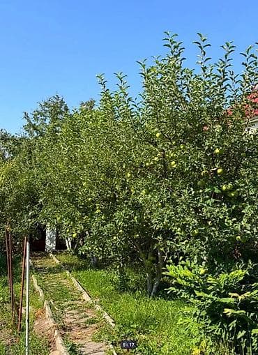 чарык таш: 5 соток, Курулуш, Кызыл китеп, Техпаспорт — 8