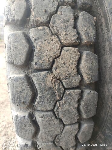 камера покрышки: Газ 53 Грузовые шины R20 Продаю 4 покрышки с камерами ОМСКИЕ шины — 6