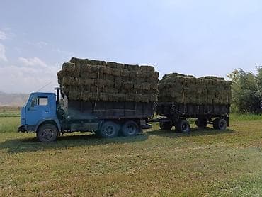 ош эвакуатор: Прицеп, Камаз, Самосвал — 4