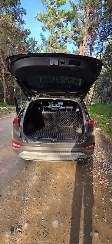 santa fe 2008: Hyundai Santa Fe: 2019 г., 2.2 л, Автомат, Дизель, Кроссовер — 6