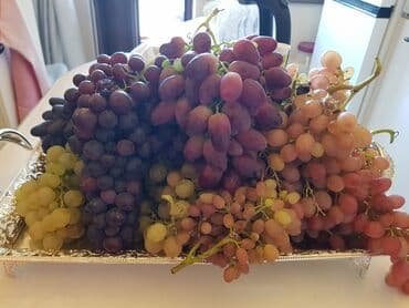 продаю дом с красная речка: 100 соток, Для сельского хозяйства, Договор купли-продажи — 9