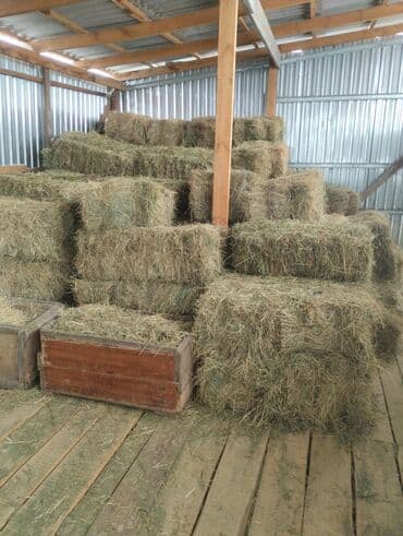 Горное сено.тоо чоп 400 сом.есть солома ячменная арпа саман250
