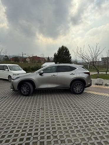 es 200: Lexus NX: 2022 г., 2.5 л, Робот, Бензин, Кроссовер — 2