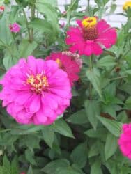 иссык куль купить дом: Дача, 70 м², 3 комнаты, Собственник — 1