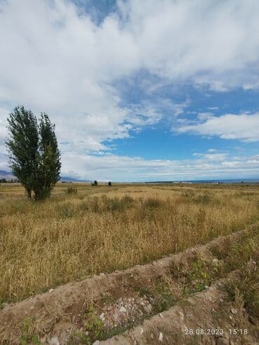 аренда дома на иссык куле: 66 соток, Для сельского хозяйства, Тех паспорт, Договор купли-продажи, Генеральная доверенность — 2