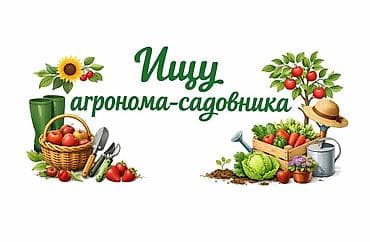 капать септик: Ищу специалиста, который понимает физиологию растений и обладает — 1
