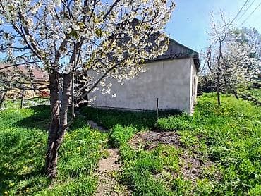 солнечный рай: Продаётся участок с небольшим одноэтажным домом и хозпостройками в — 10