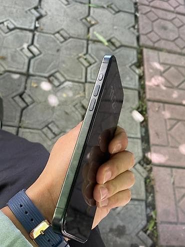 старые айфоны: IPhone 15 Pro Max, 256 ГБ, Черный, 87 % — 4