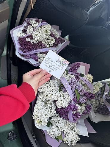 Букет из сирени - Объемный букет из душистой садовой сирени двух