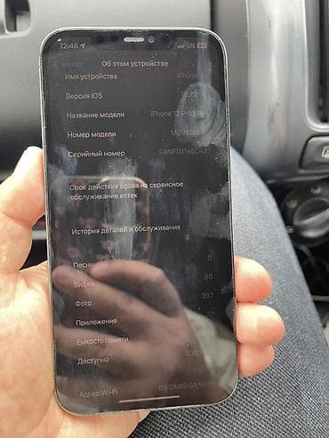 iphone e: IPhone 12 Pro Max, Серебристый — 6