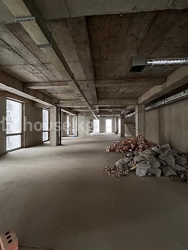 пустой помещение: Аренда офисов, 300 м², В бизнес центре, 1 линия, С видом на горы, С отдельным сан узлом — 4