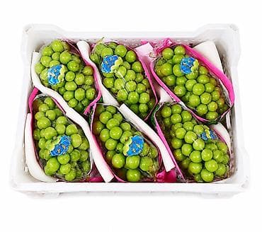 Виноград Оптом