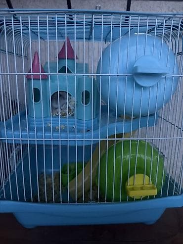 Клетка для хомяка с игровым комплексом С хомячком - Двухуровневая — 5