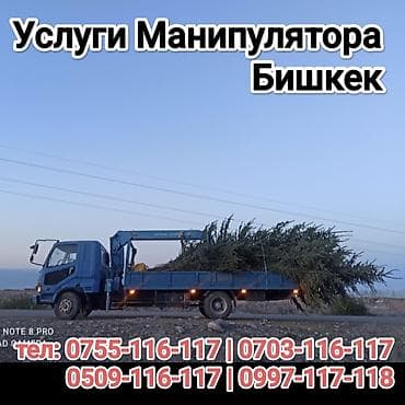 уех с оборудованием: Услуги манипулятора в Бишкеке. - Бортовой грузовик с — 1