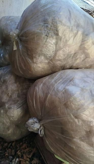 скупка стекла: Принимаю отходы салафанов дорого. Упаковку от паралонов Швейные — 2