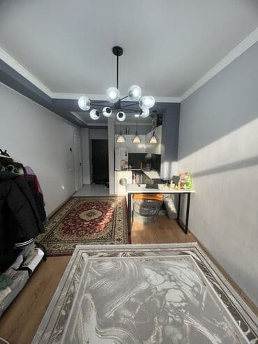 раздольный ак жол: 1 комната, 22 м², Индивидуалка, 3 этаж, Евроремонт — 6