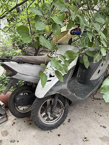 dio 27: Скутеретта Honda, 50 куб. см, Бензин, Б/у — 1