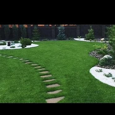 чистка травы: Уборка территории, Стрижка газона — 5