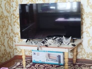 авто усилители: Телевизор SKYWORTH 43STE6600, 43" ✅ Состояние новое, отлично — 3