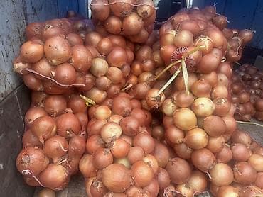 большой офисный стол: Лук Оптом — 3