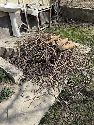 биро находок: Дрова даром
Даром — 1