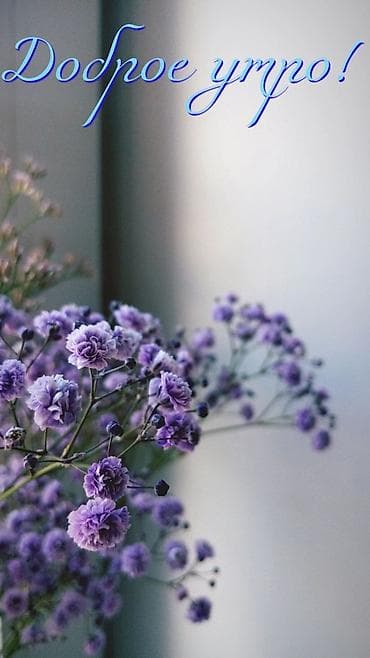 Жеке буюмдар: Miss Dior Blooming Bouquet — женская туалетная вода с нежным — 5