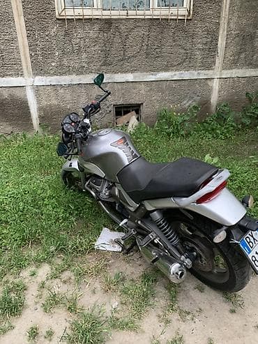 Мотоциклы: Naked 750 куб. см, Бензин, Взрослый — 1