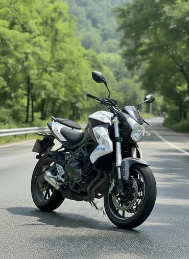 купить бу электромотоцикл: Классический мотоцикл Stels, 600 куб. см, Бензин, Взрослый, Б/у — 2