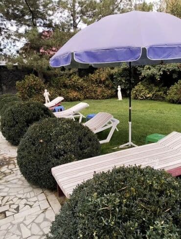 дома в шопокове: Эксклюзив. VIP residence. Аренда особняка. Аренда дома. Длительно — 4