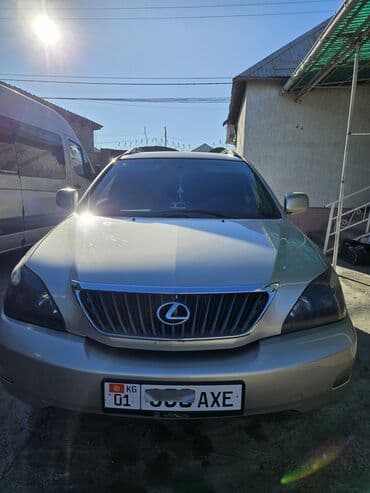 шины хонда: Lexus RX: 2006 г., 3.5 л, Автомат, Бензин, Кроссовер — 1