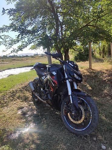 sc project: Naked Kawasaki, 450 куб. см, Бензин, Взрослый, Б/у — 2