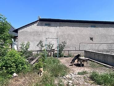 4 соток, Красная книга