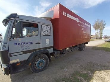 офисные растения: Грузоперевозки — 3