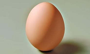 Другие животные: 🐣 Инкубационные яйца породы Леггорн (Лигорм) Продаются инкубационные — 3