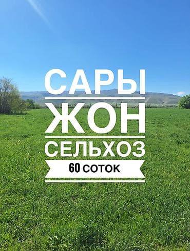 60 соток, Для сельского хозяйства, Договор купли-продажи, Красная книга at lalafo.kg 60 соток, Для сельского хозяйства, Договор купли-продажи, Красная книга
