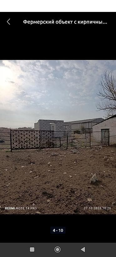Аренда коммерческой недвижимости: Фермерский объект с кирпичными постройками и открытыми навесами — 5